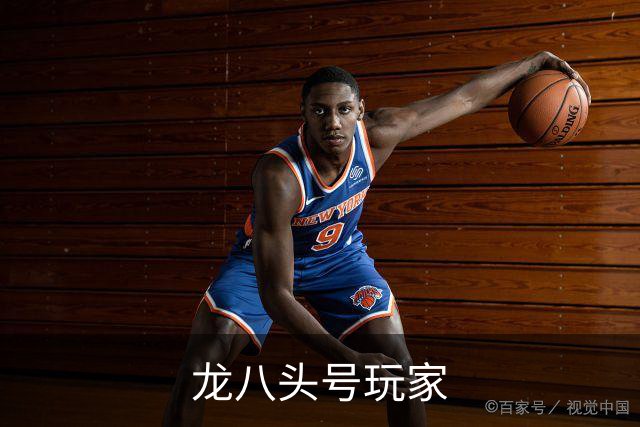 龙八头号玩家企业介绍